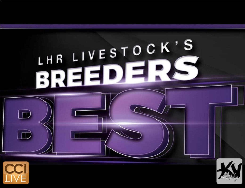 Breeders Best Spring Fling photo