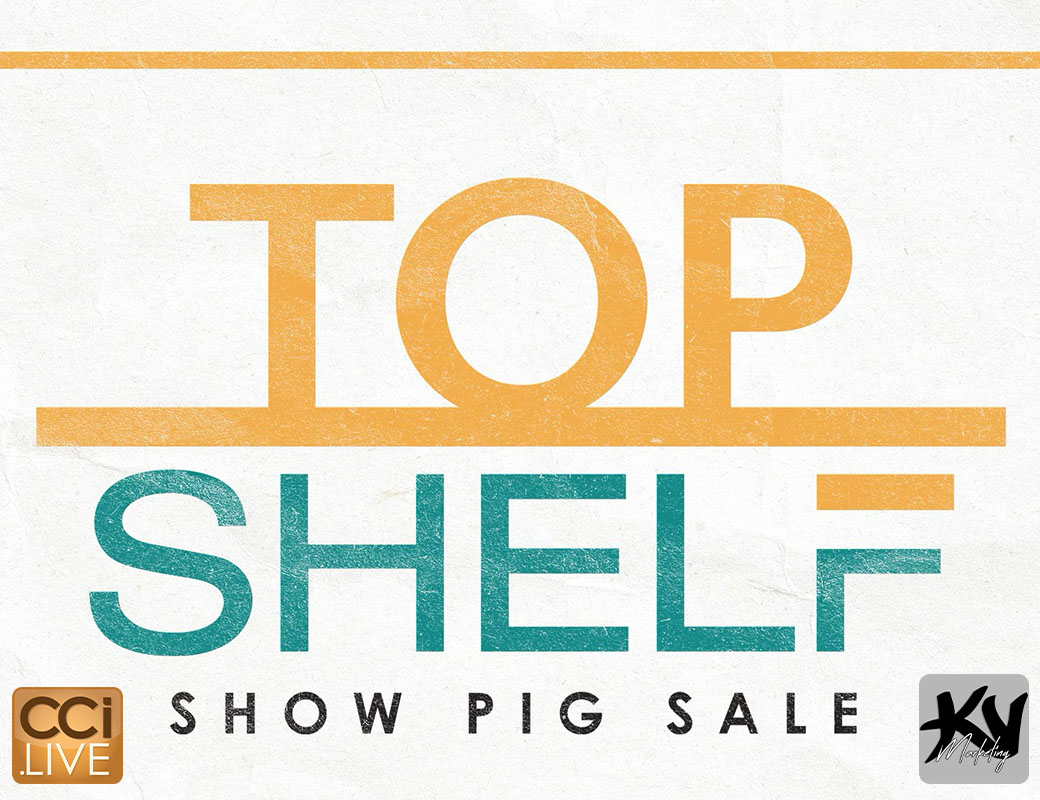 Top Shelf Pig Sale photo