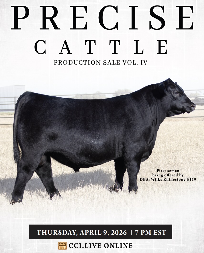 Precise Cattle Production Sale photo