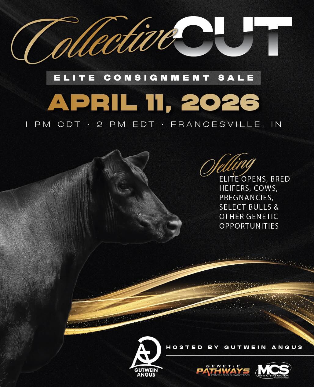 The Collective Cut at Gutwein Angus photo