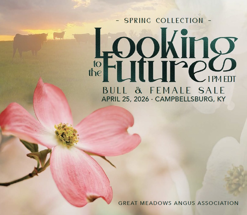 Great Meadows Angus Association Annual Spring Sale photo