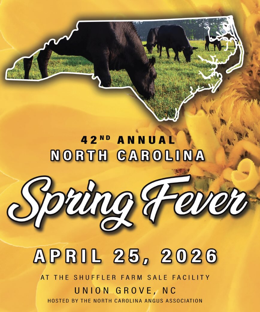 42nd North Carolina Spring Fever Sale photo