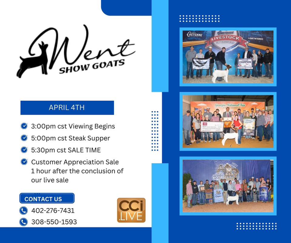 Went Show Goat Sale photo