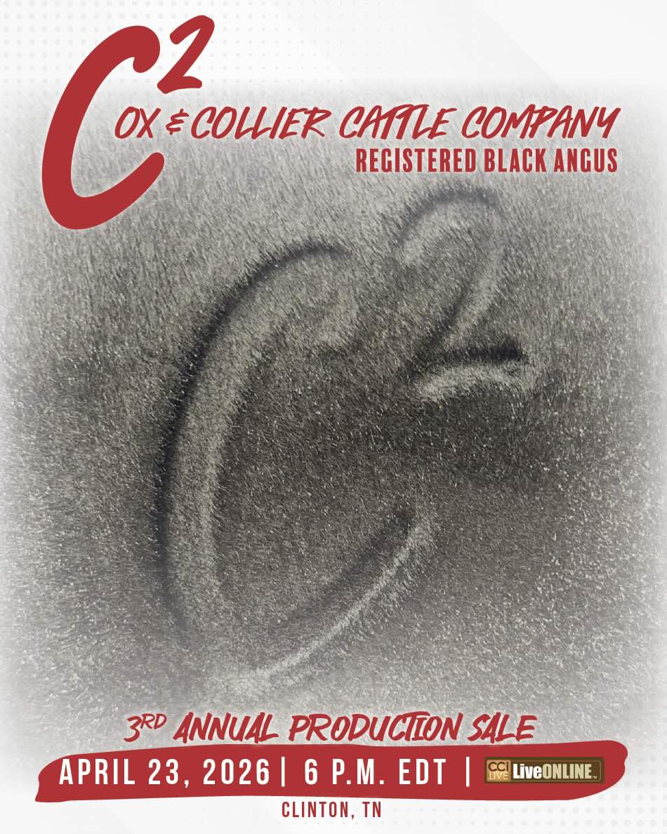 Cox & Collier Production Sale photo