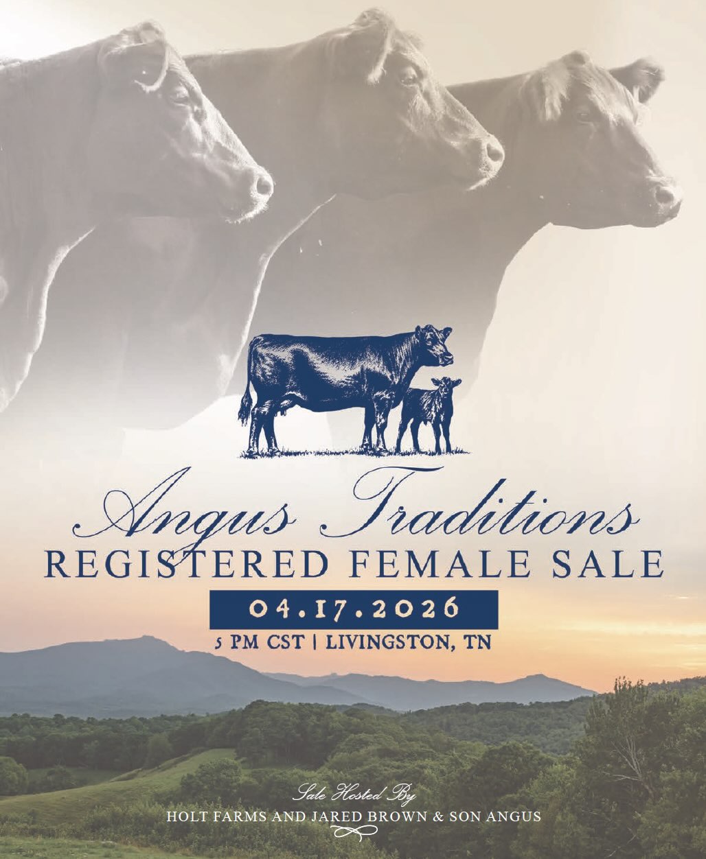Angus Traditions Registered Female Sale photo