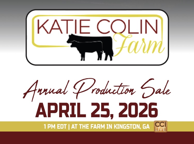 Katie Colin Farm Annual Production Sale photo