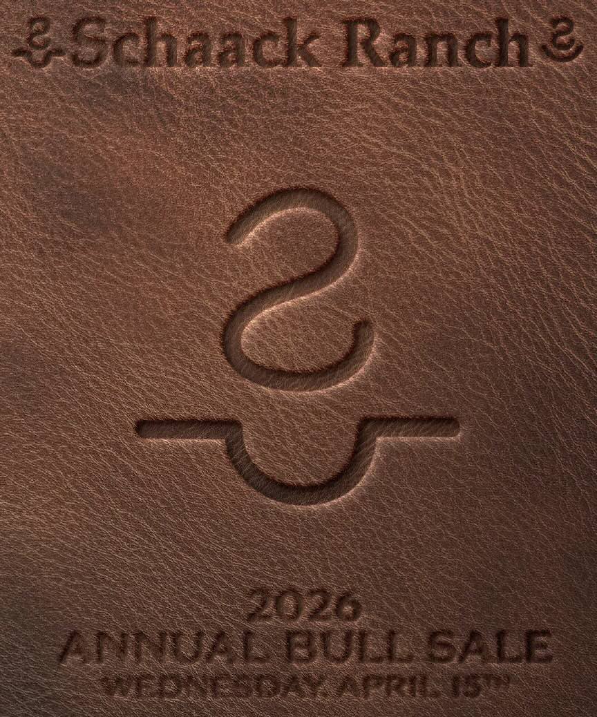 Schaack Ranch Annual Bull Sale photo