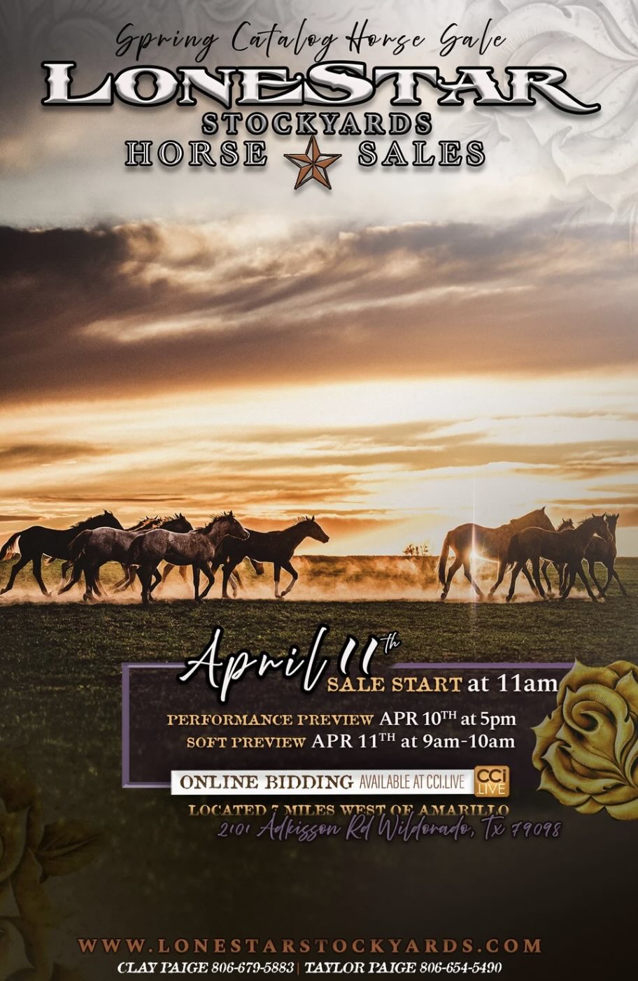 Lonestar Stockyards Horse Sales photo