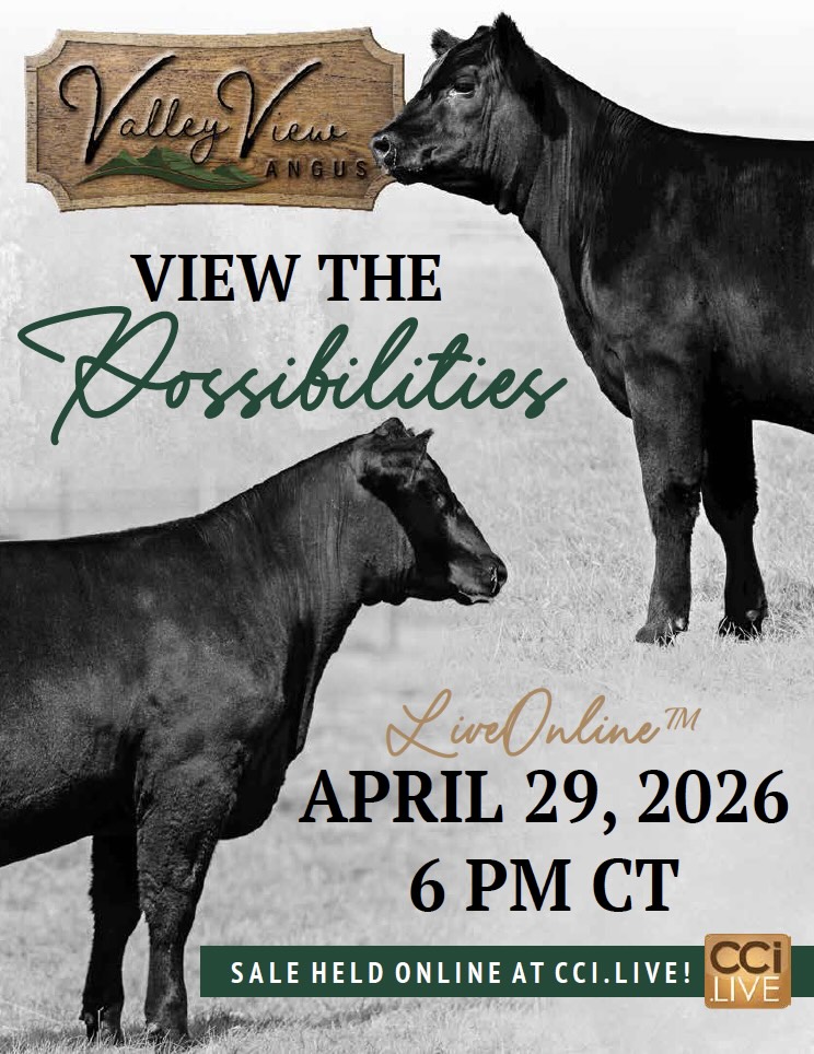 Valley View Angus photo