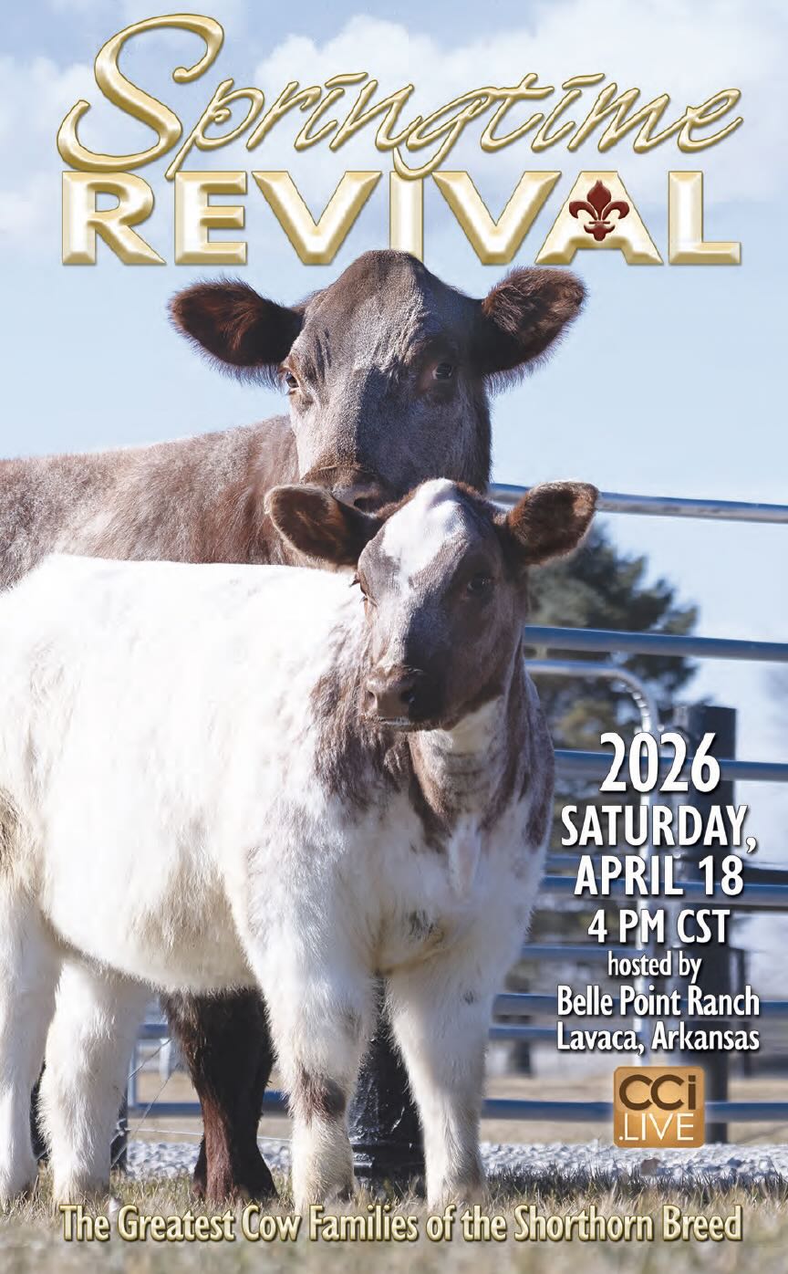 Springtime Revival photo