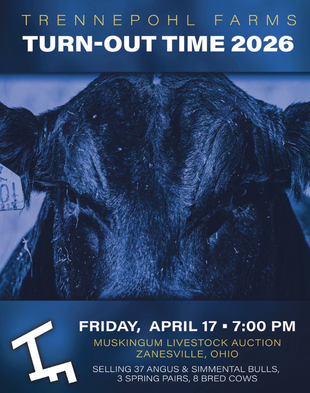 Trennepohl Farms Turn-Out Time Bull & Female Sale photo