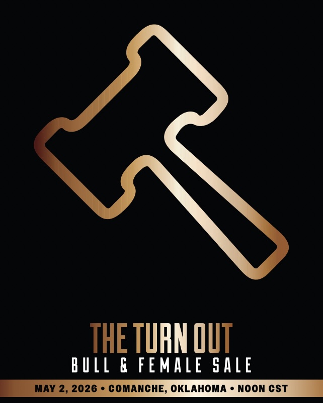 The Turn Out Bull & Female Sale photo