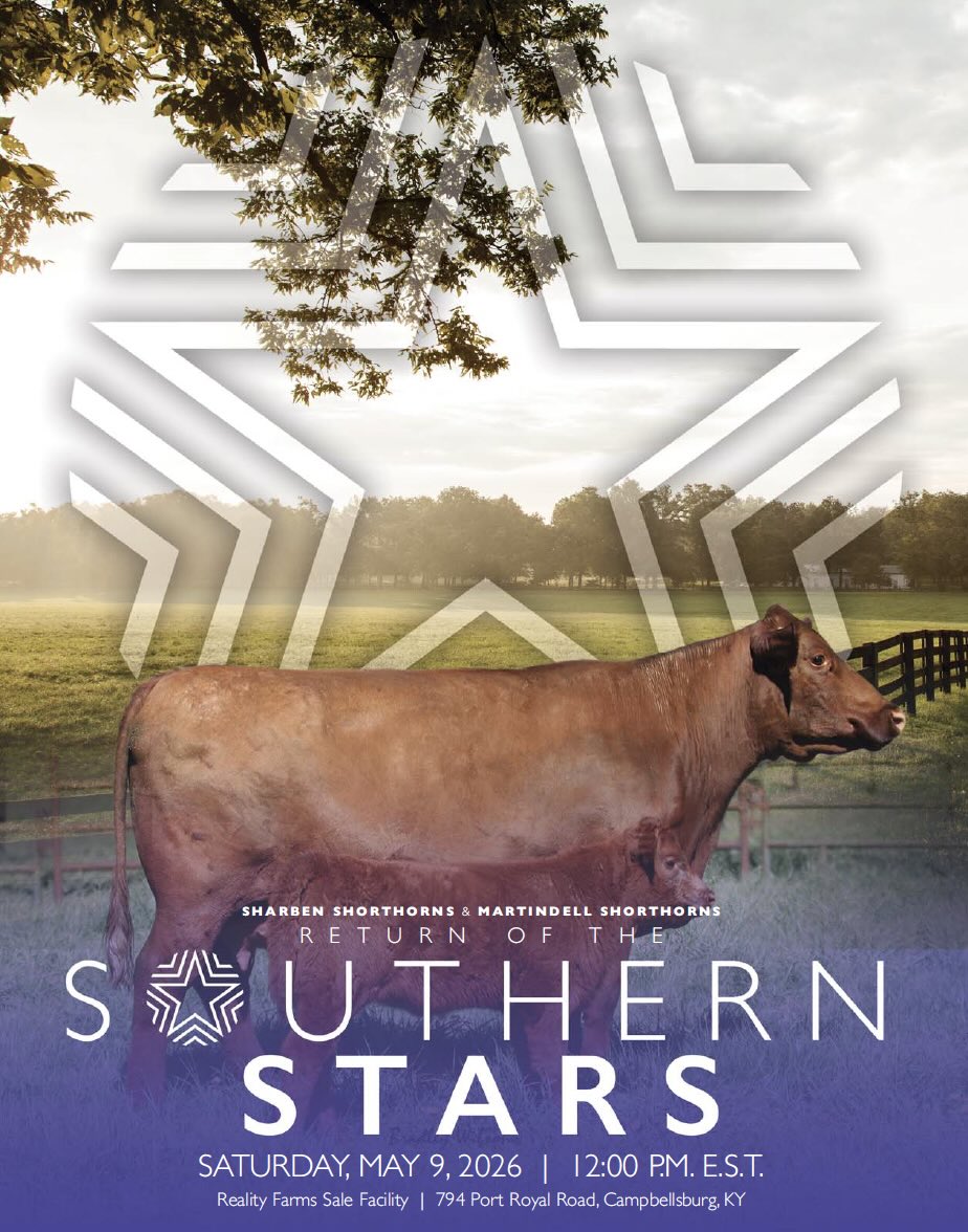 Return of the Southern Stars Sale photo