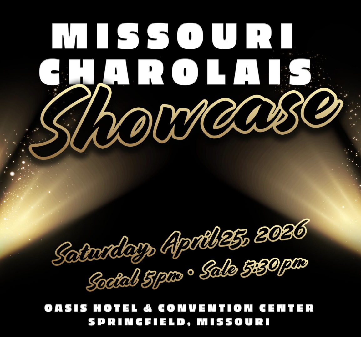 Missouri Charolais Showcase photo