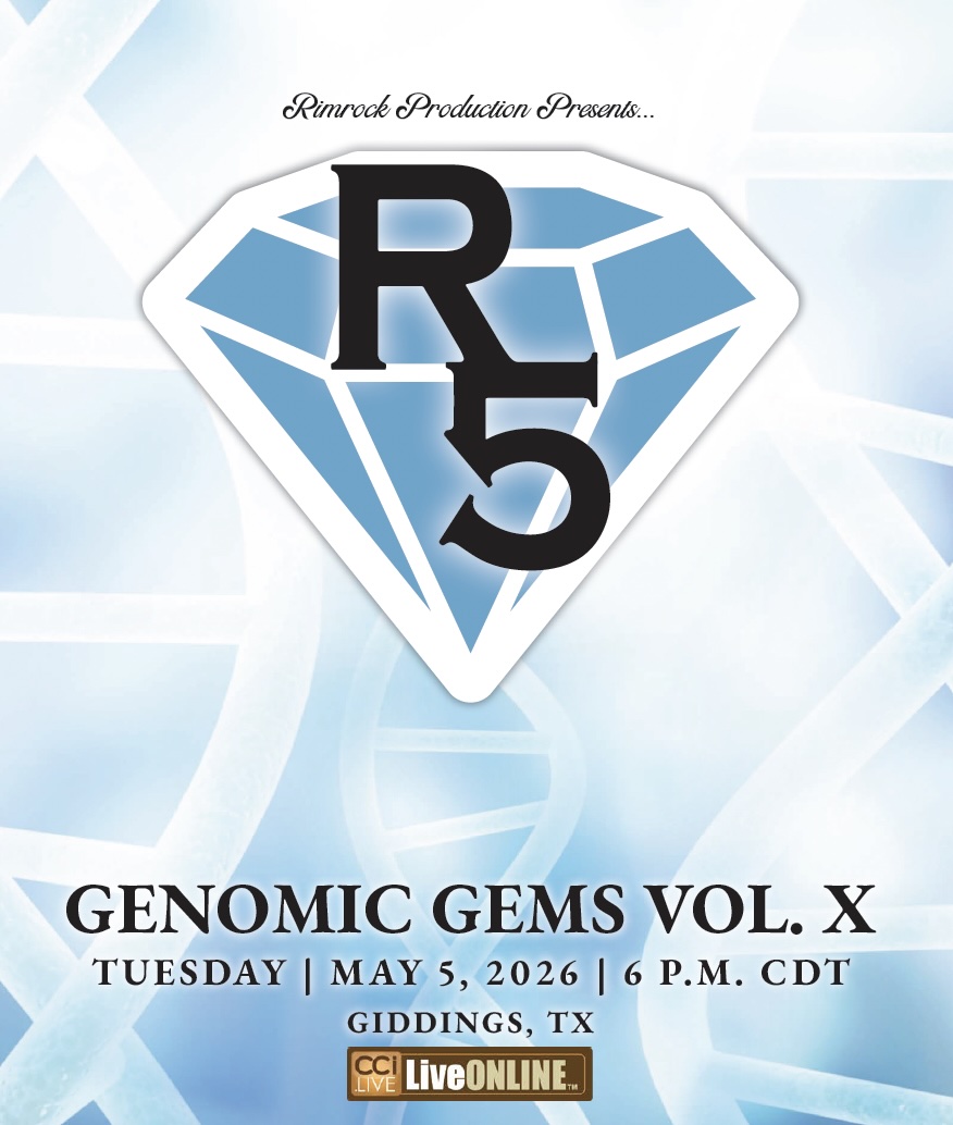 Genomic Gems - Rimrock Angus photo