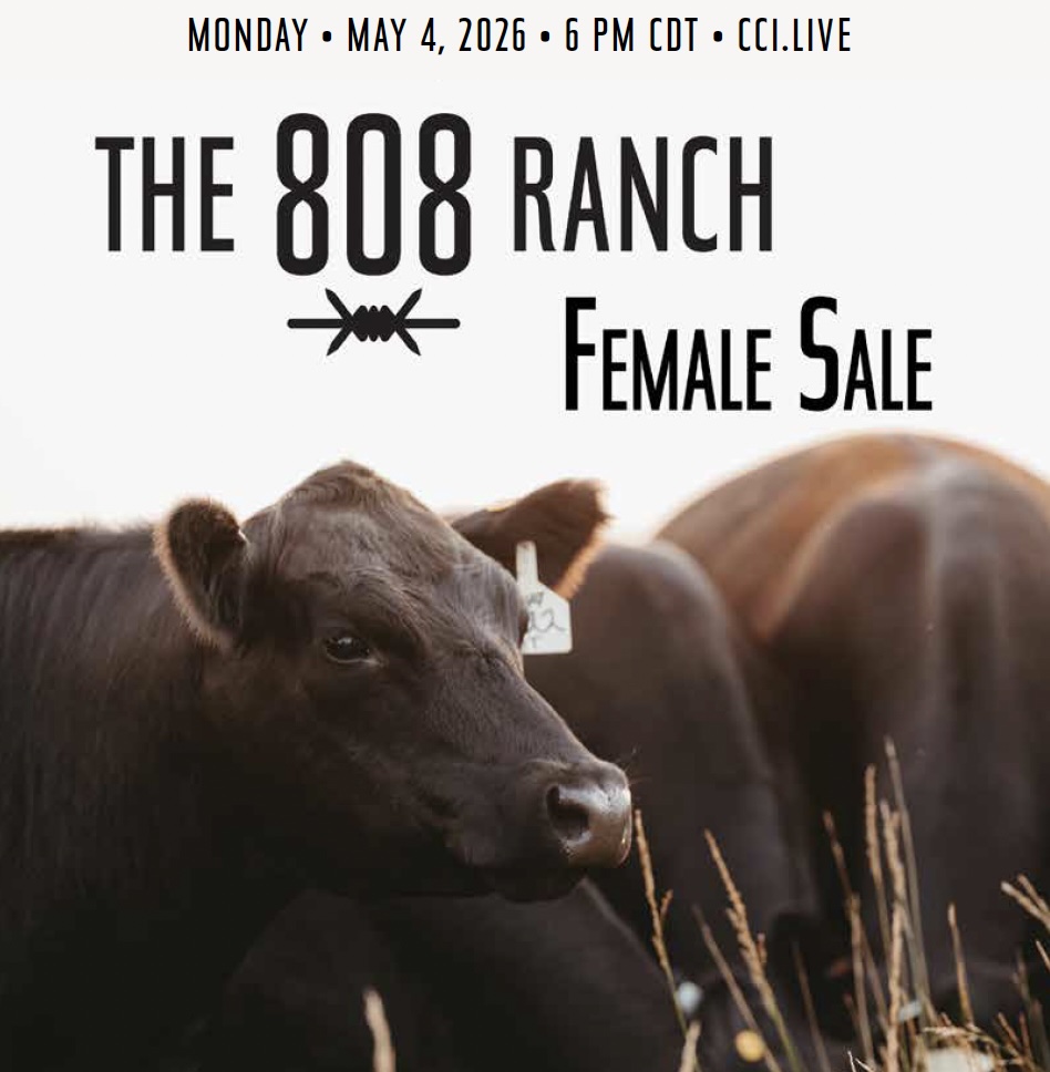 The 808 Ranch Female Sale photo