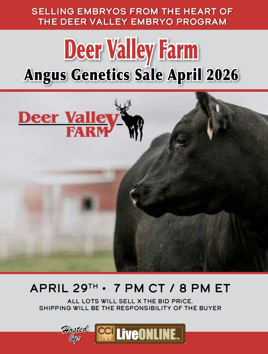 Deer Valley Farm Angus Genetic Sale photo
