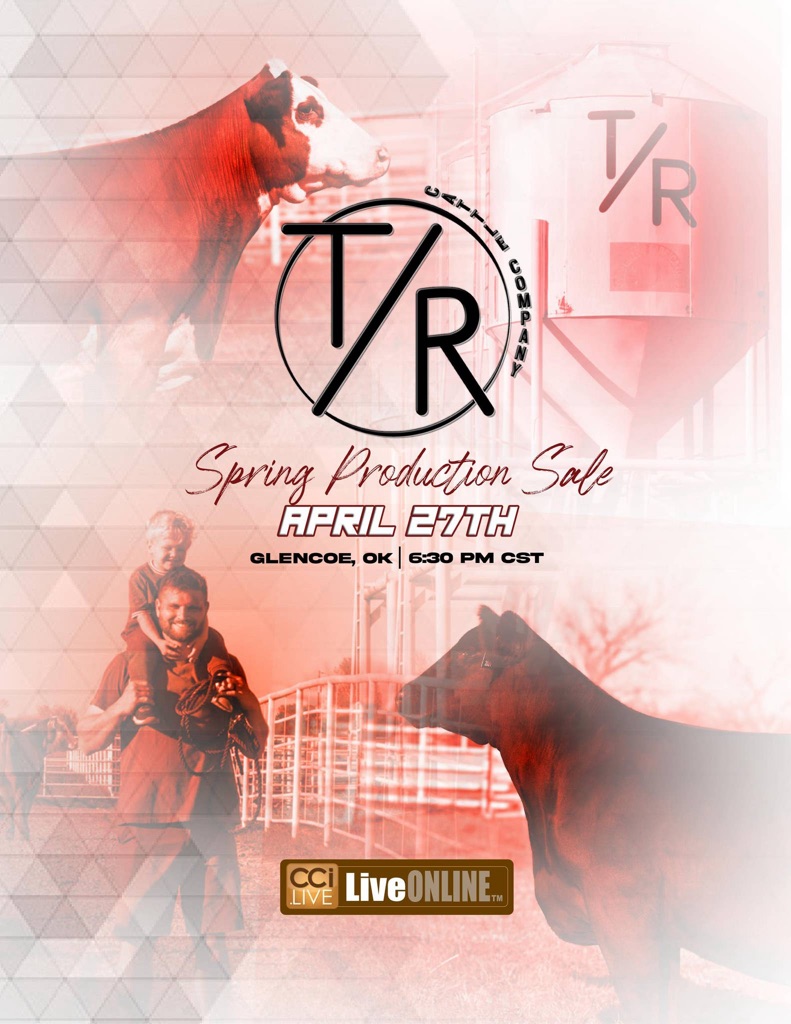T/R Cattle Company Spring Production Sale photo