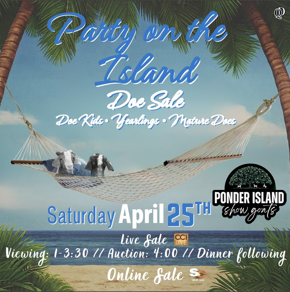 Party at the Island Live Goat Sale photo