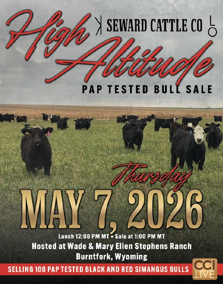 Seward Cattle Co. Annual Bull Sale photo