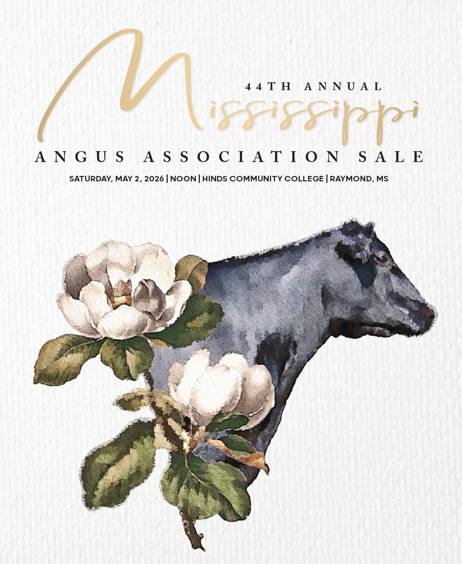 Mississippi Angus Association Sale photo