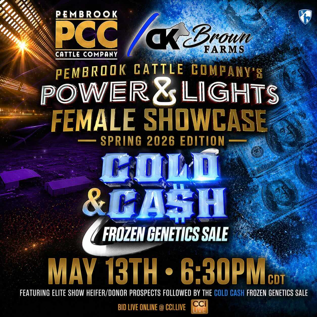 Pembrook Cattle Co. Power & Lights Female Showcase and Cold Cash Frozen Genetics Sale photo
