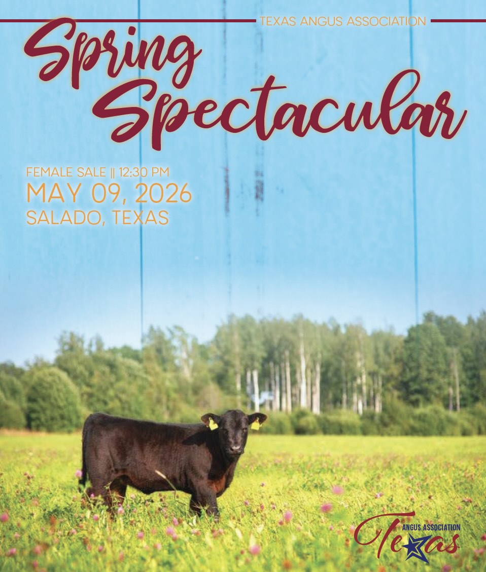 Texas Angus Assn Spring Spectacular photo