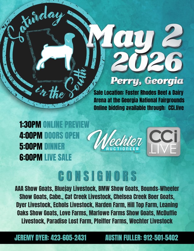 Saturday In The South Live Goat Sale photo