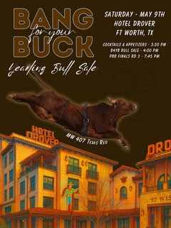 BS Cattle Company Bang For Your Buck Yearling Bull Sale photo