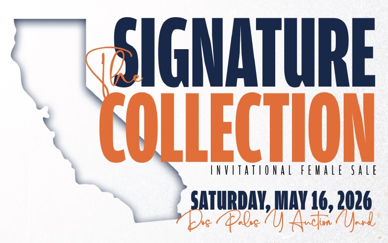 The Signature Collection Invitational Female Sale photo