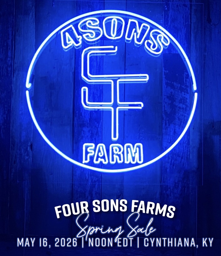 Four Sons Farms Spring Sale photo