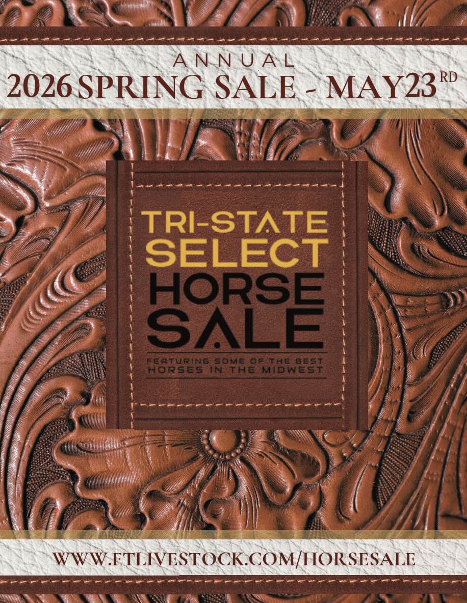 Tri-State Select Spring Horse Sale photo