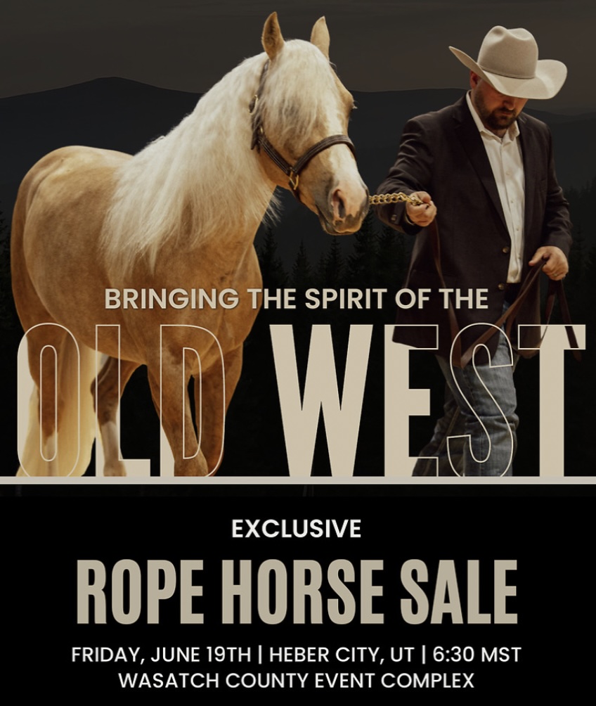 Old West Rope Horse Futurity Sale photo