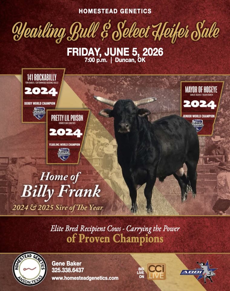 Homestead Genetics Yearling Bull & Select Female Sale photo