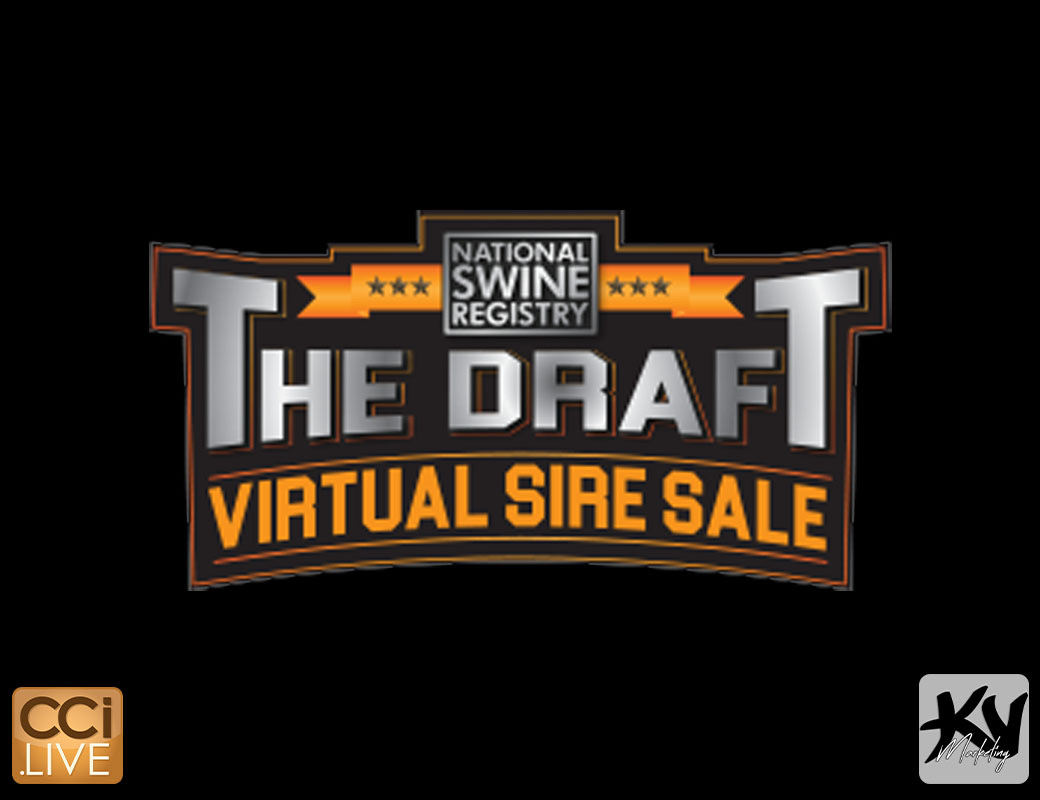 NSR The Draft photo