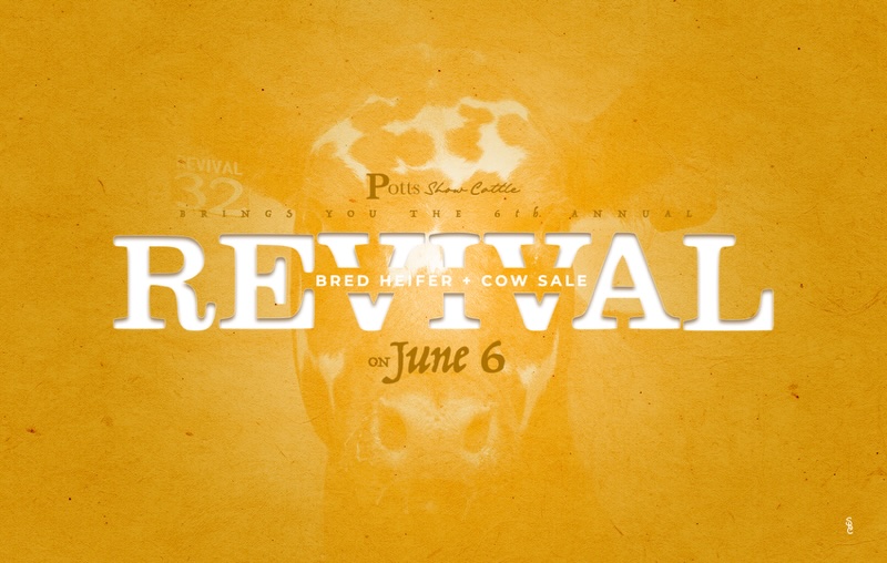 The Revival Bred Female Sale photo