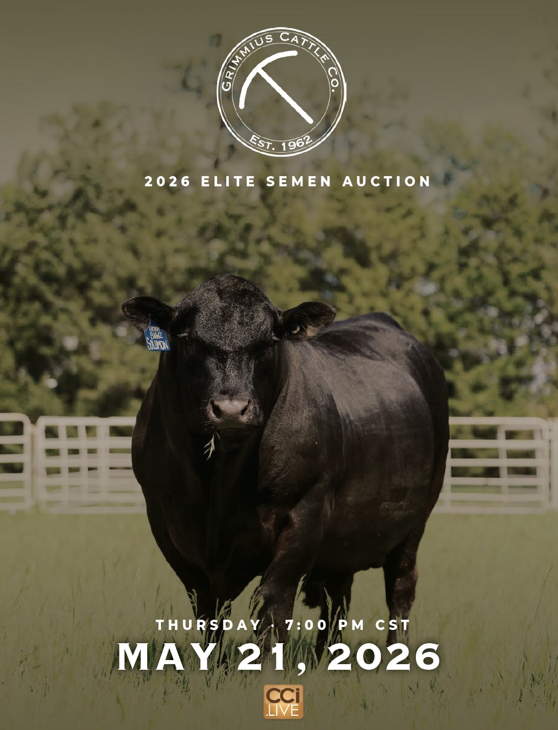 Grimmius Cattle Co May Elite Semen Auction photo