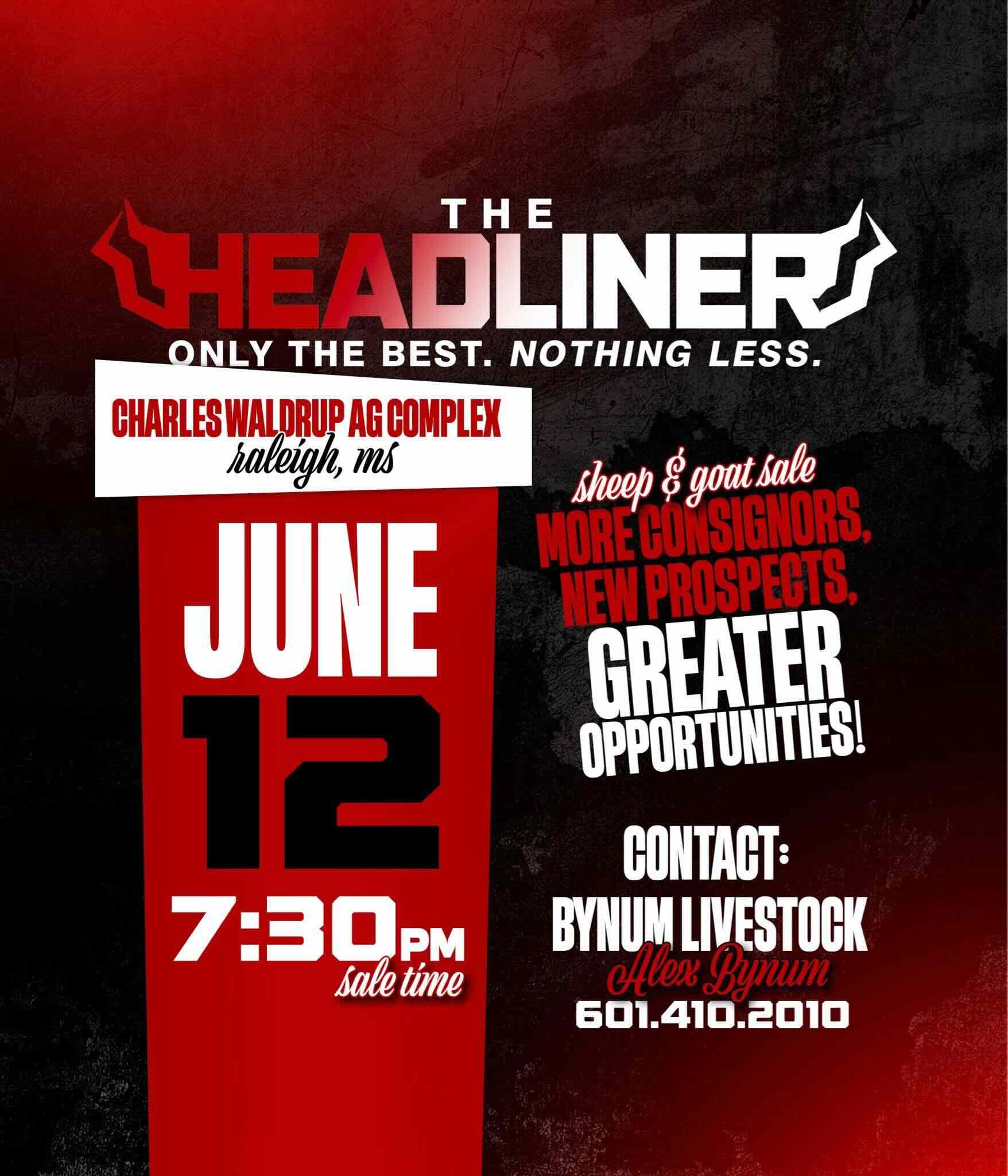 The Headliner photo