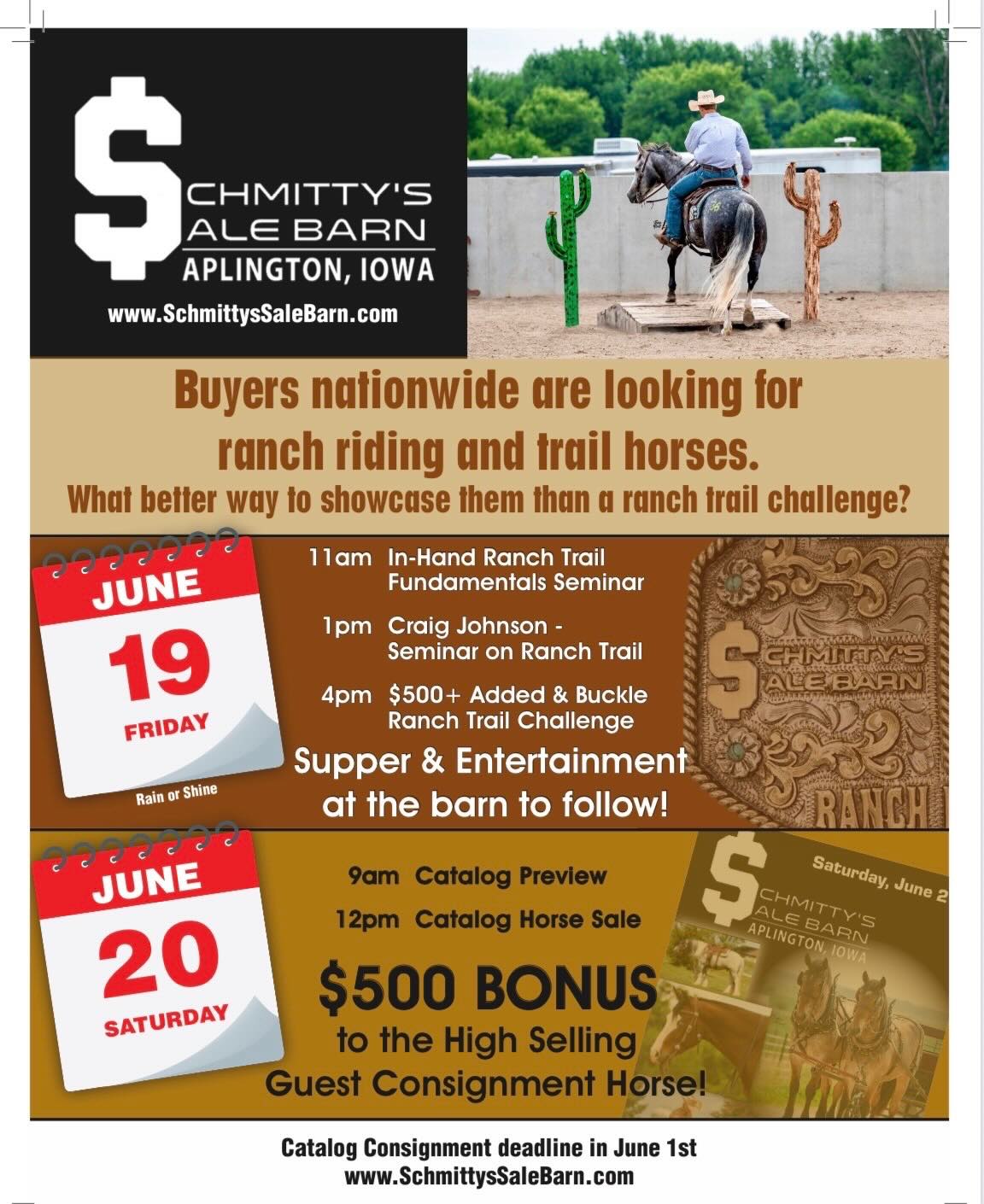 Schmitty’s Sale Barn Horse Sale & Preview photo