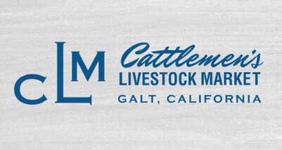 Cattlemen's Livestock Market Fall Calving Cow Sale photo