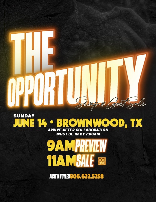 The Opportunity photo