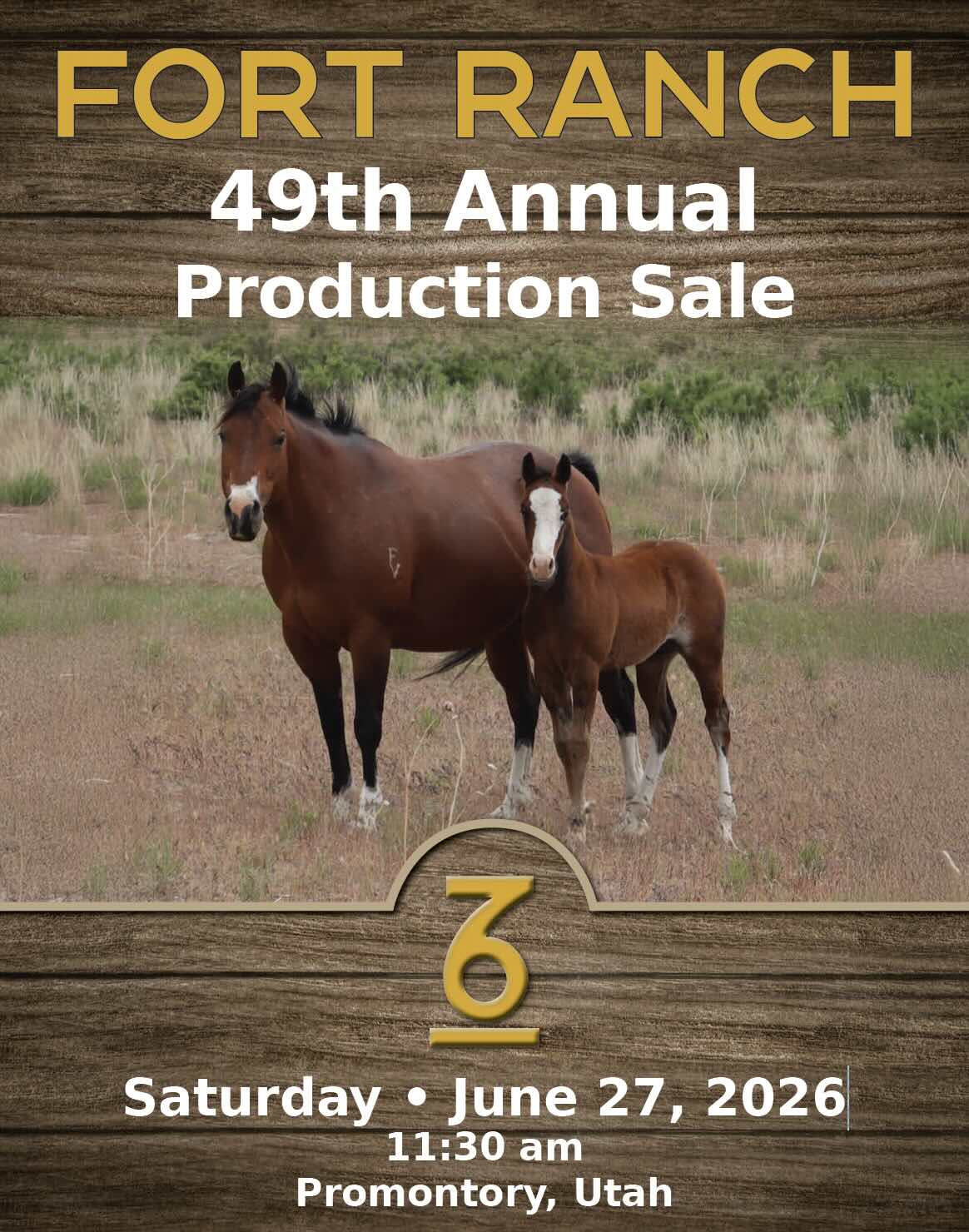 Fort Ranch 49th Annual Sale photo
