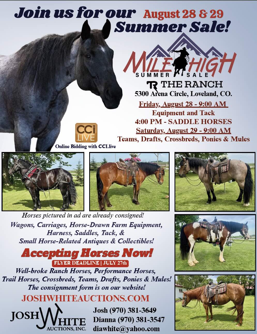 Mile High Summer Classic photo
