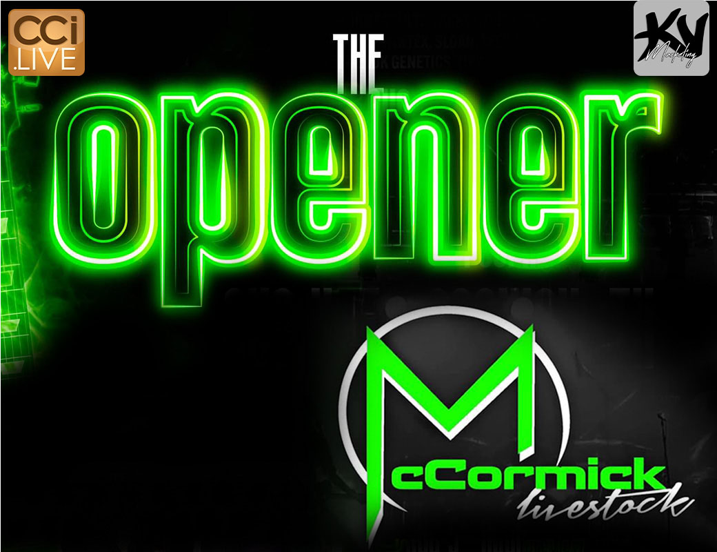 The Opener photo