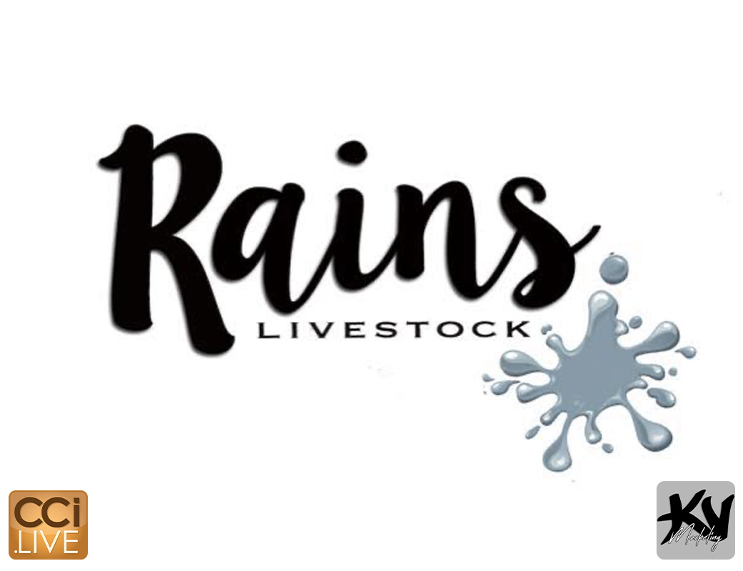 Rains Livestock Farm Sale photo