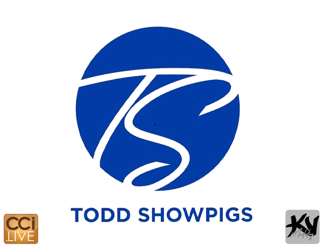 Gary Todd Showpigs Farm Sale photo