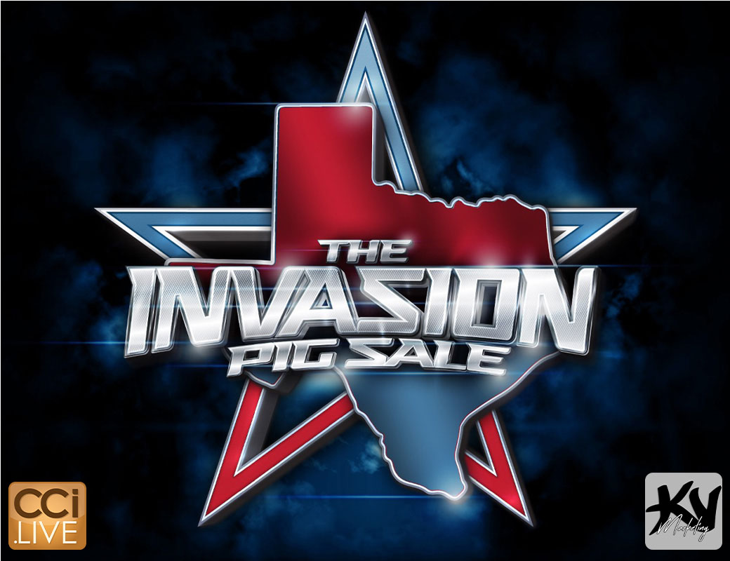 The Invasion Pig Sale photo