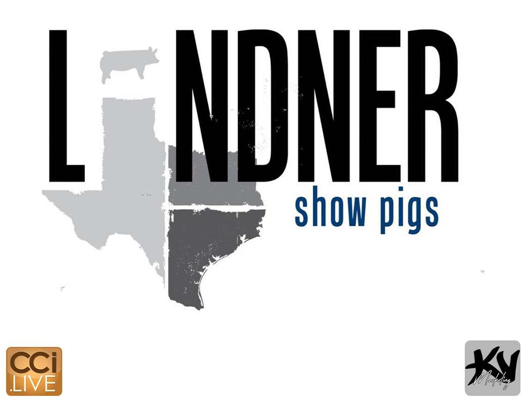 Lindner Showpigs Farm Sale #2 photo