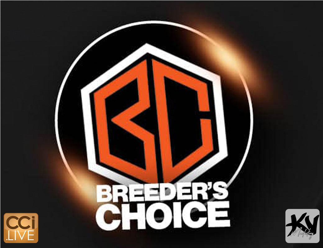 Breeders Choice Pig Sale photo