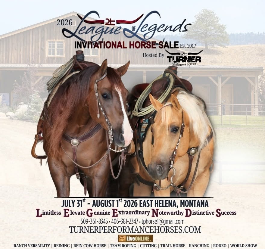 League of Legends Horse Sale photo